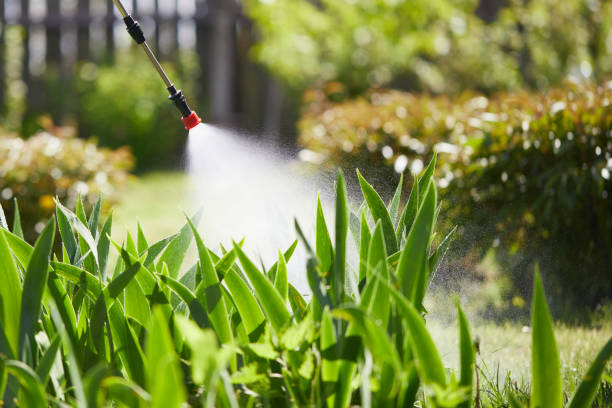 Tamper-Resistant Bait Stations for Rodents in East Griffin