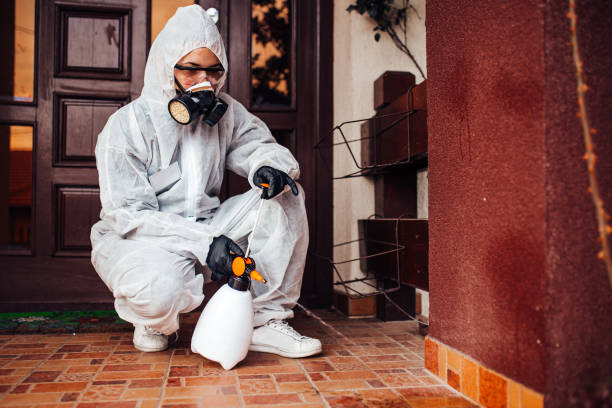 Attic and Crawl Space Rodent Treatment in East Griffin