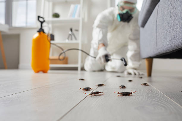 Commercial Rodent Management in East Griffin